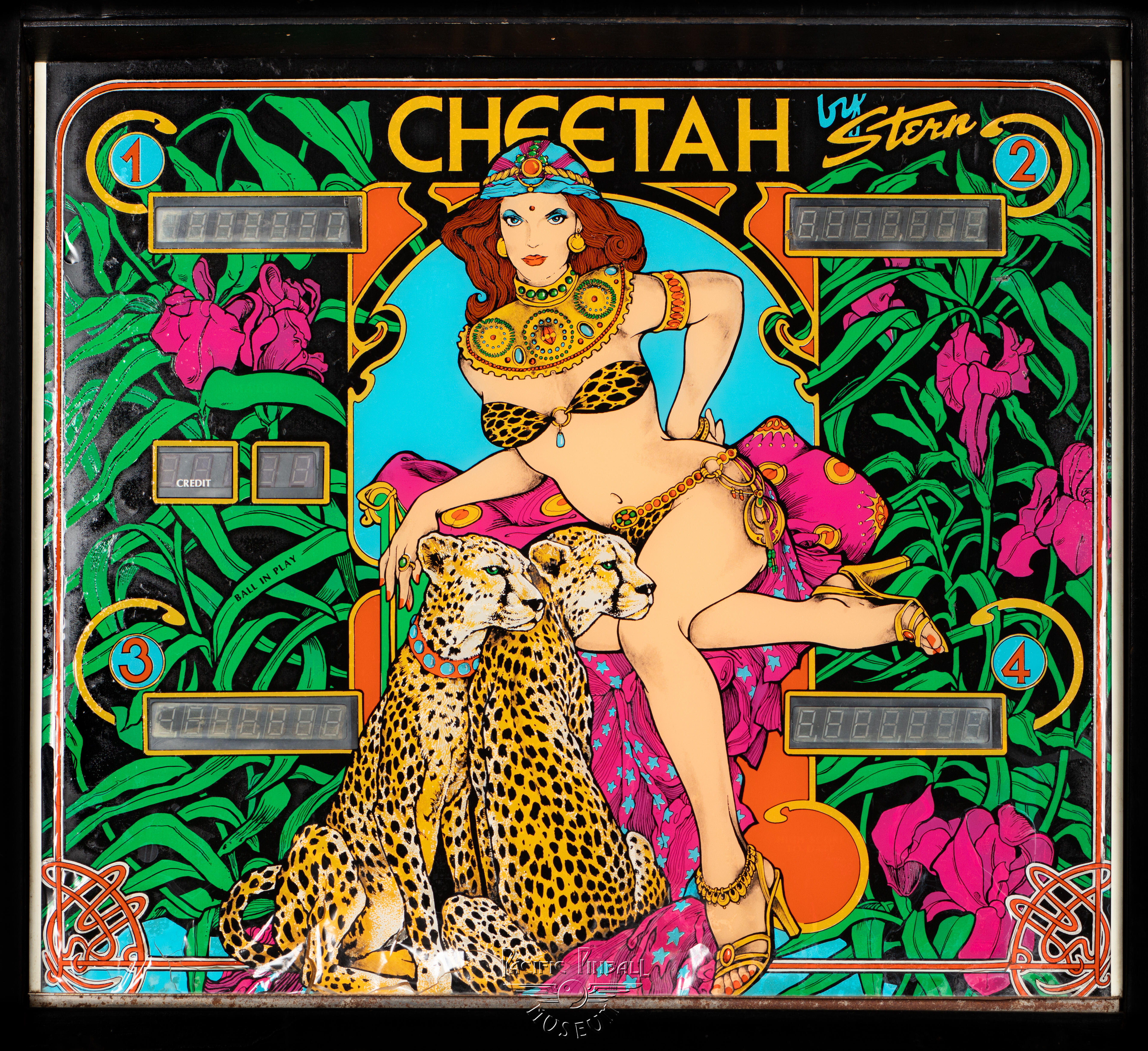 cheetah-847-bg.jpg