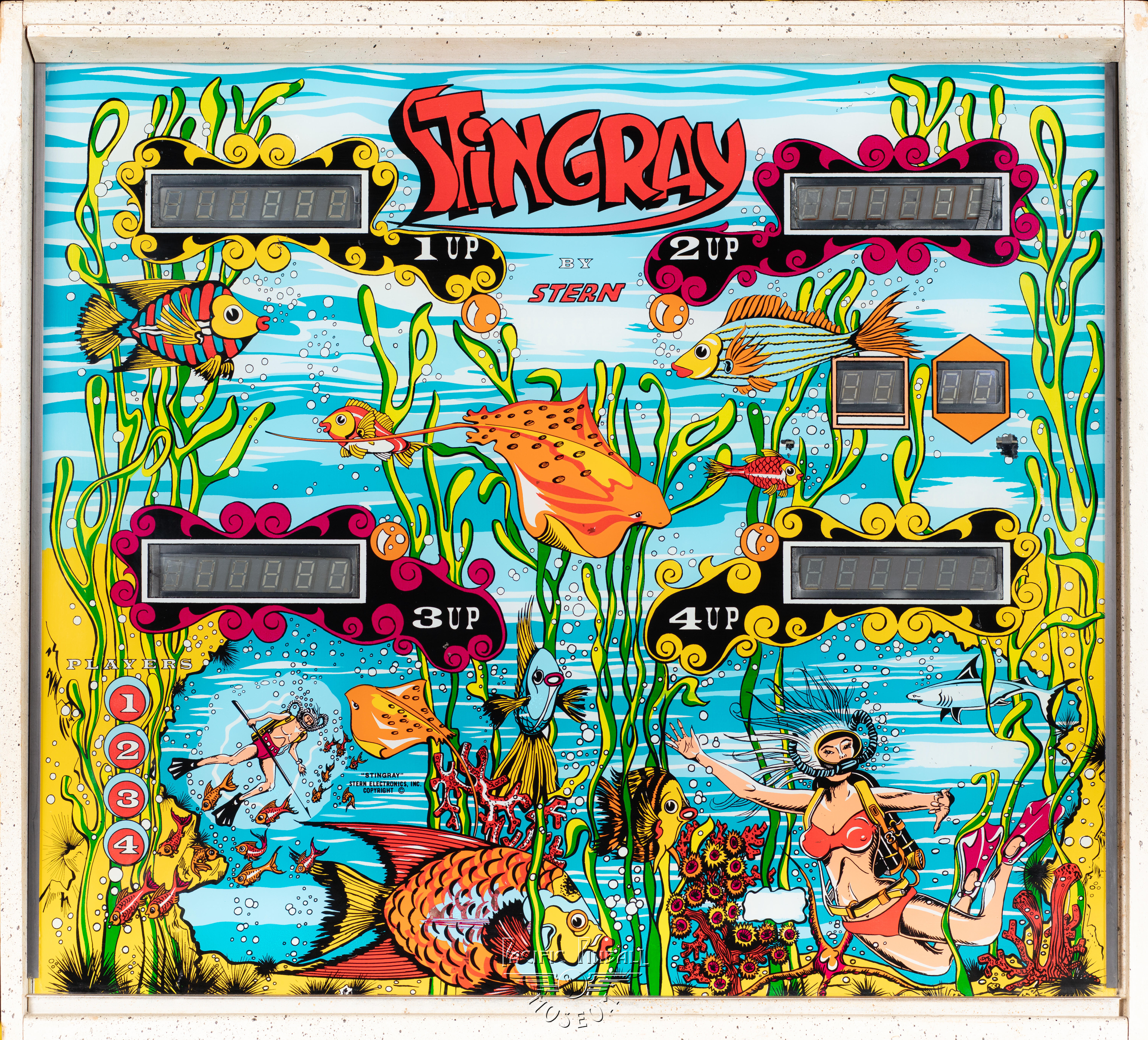 stingray-551-bg.jpg