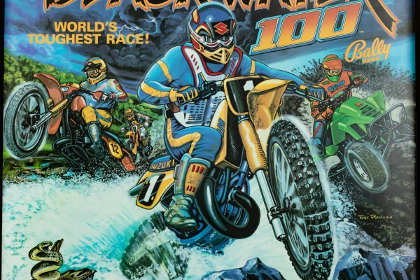blackwater-100-520-bg.jpg pinball machine - Preview image showing playfield artwork and design details