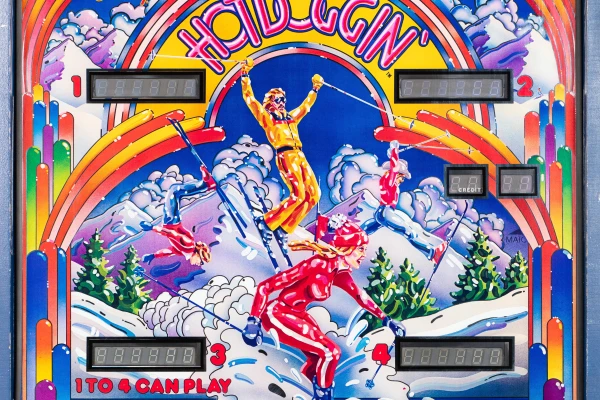 hotdoggin-1004-bg.jpg pinball machine - Preview image showing playfield artwork and design details