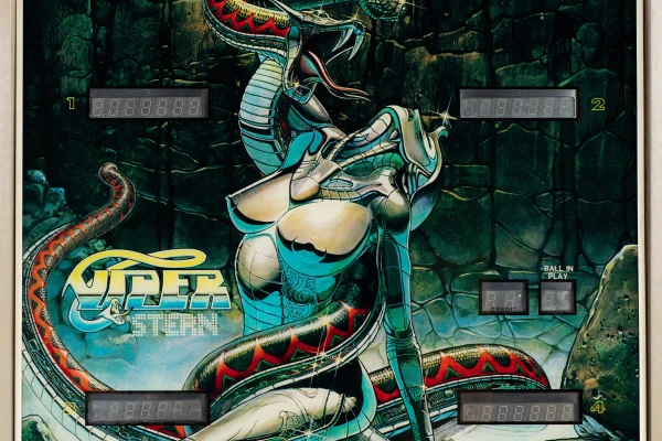 viper-454-bg.jpg pinball machine - Preview image showing playfield artwork and design details